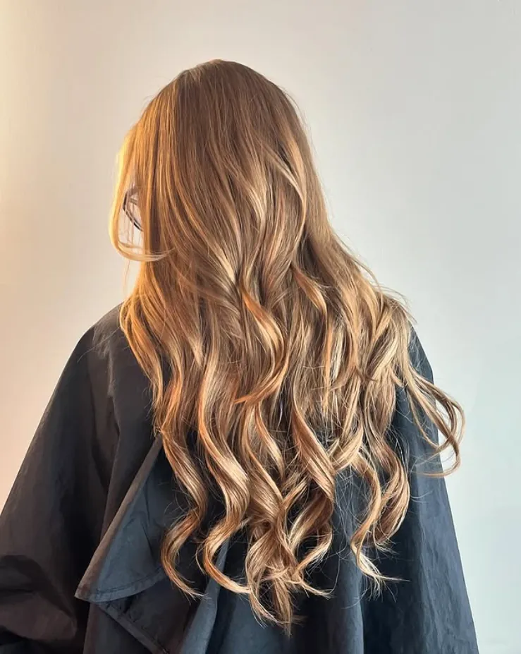 Bronze balayage on long layered hair