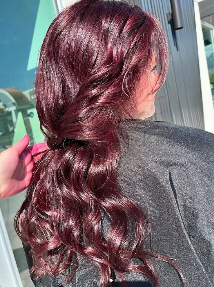 Plum toned ponytail